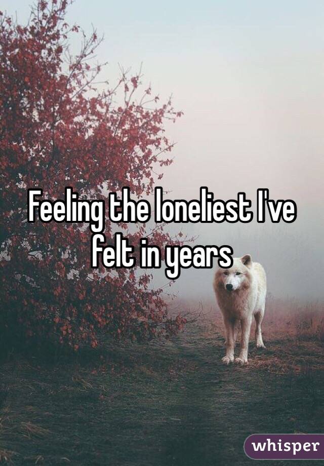 Feeling the loneliest I've felt in years