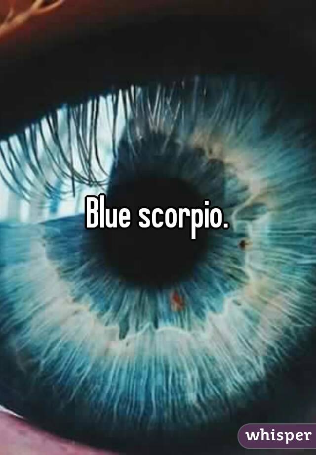 Blue scorpio.