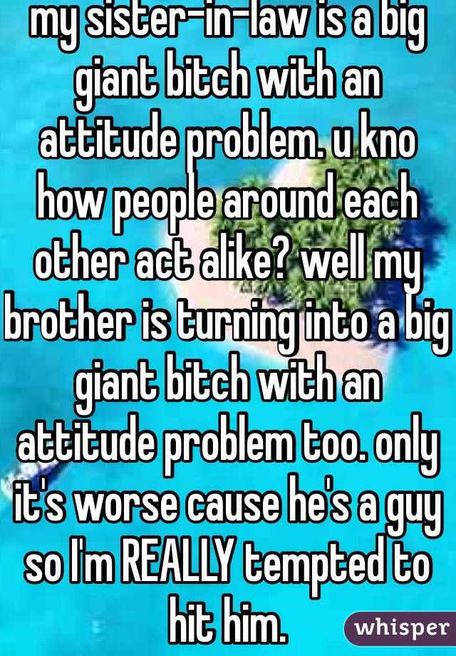 my sister-in-law is a big giant bitch with an attitude problem. u kno how people around each other act alike? well my brother is turning into a big giant bitch with an attitude problem too. only it's worse cause he's a guy so I'm REALLY tempted to hit him.