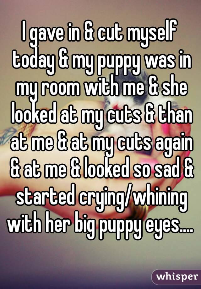 I gave in & cut myself today & my puppy was in my room with me & she looked at my cuts & than at me & at my cuts again & at me & looked so sad & started crying/whining with her big puppy eyes.... 
