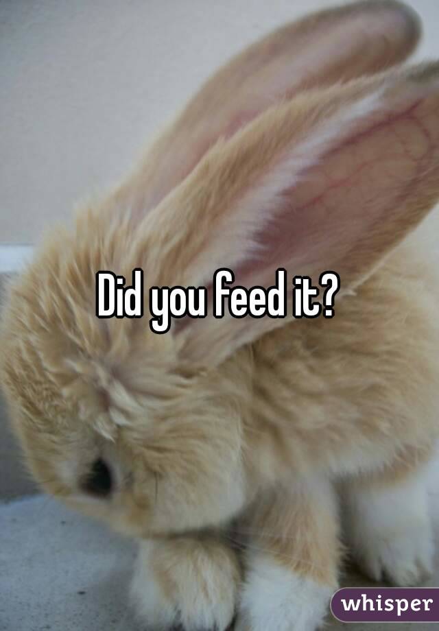 Did you feed it?