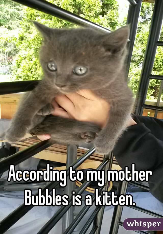 According to my mother Bubbles is a kitten. 