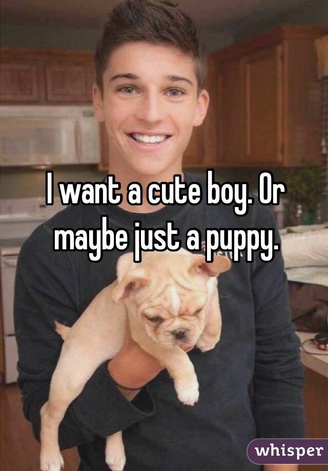 I want a cute boy. Or maybe just a puppy. 