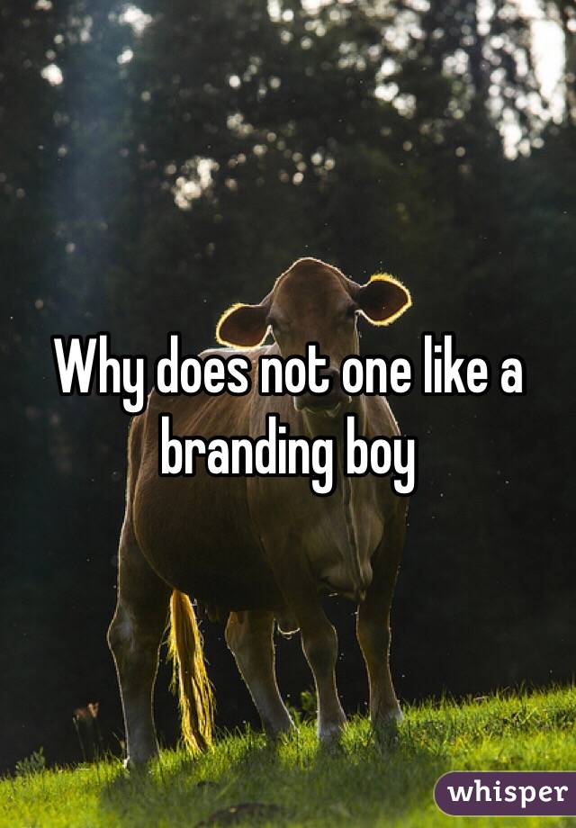 Why does not one like a branding boy