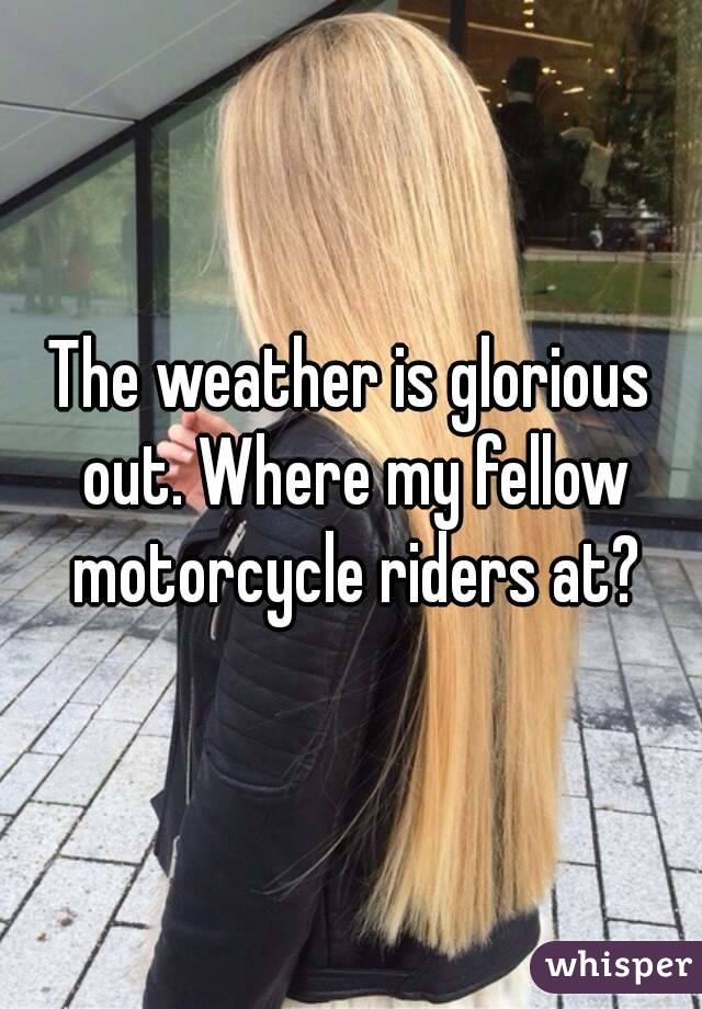 The weather is glorious out. Where my fellow motorcycle riders at?