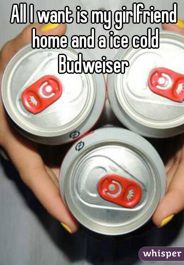 All I want is my girlfriend home and a ice cold Budweiser 