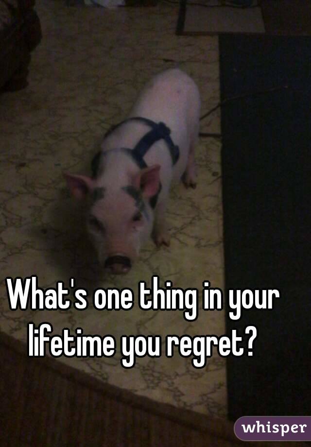 What's one thing in your lifetime you regret? 