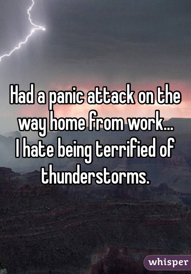 Had a panic attack on the way home from work... 
I hate being terrified of thunderstorms. 