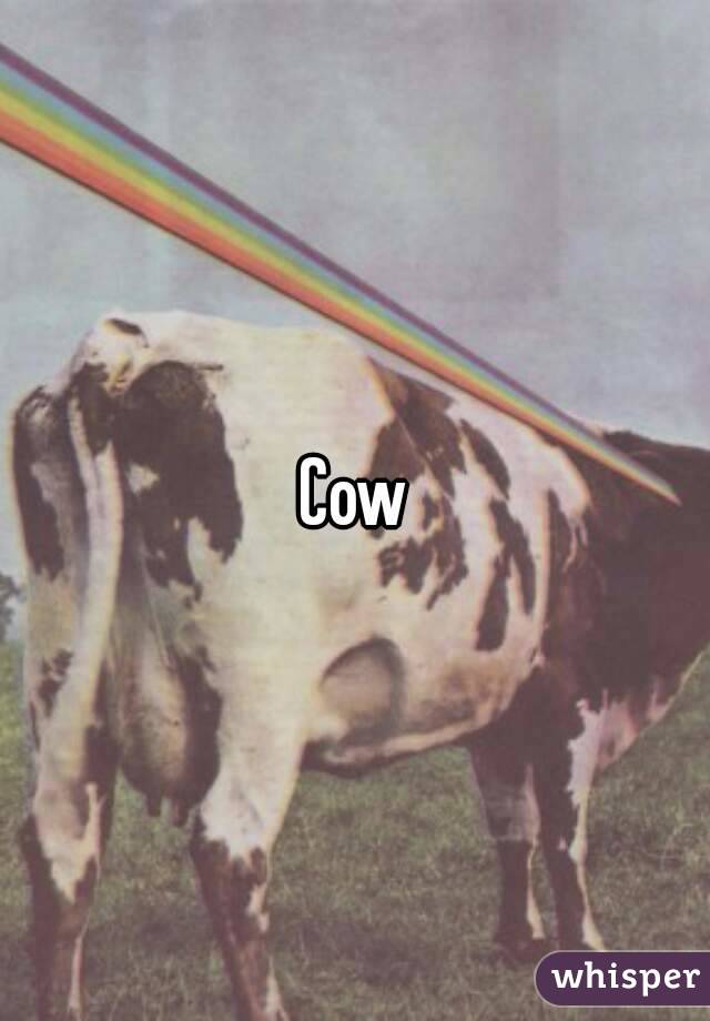 Cow