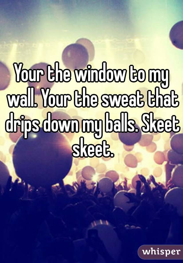 Your the window to my wall. Your the sweat that drips down my balls. Skeet skeet.