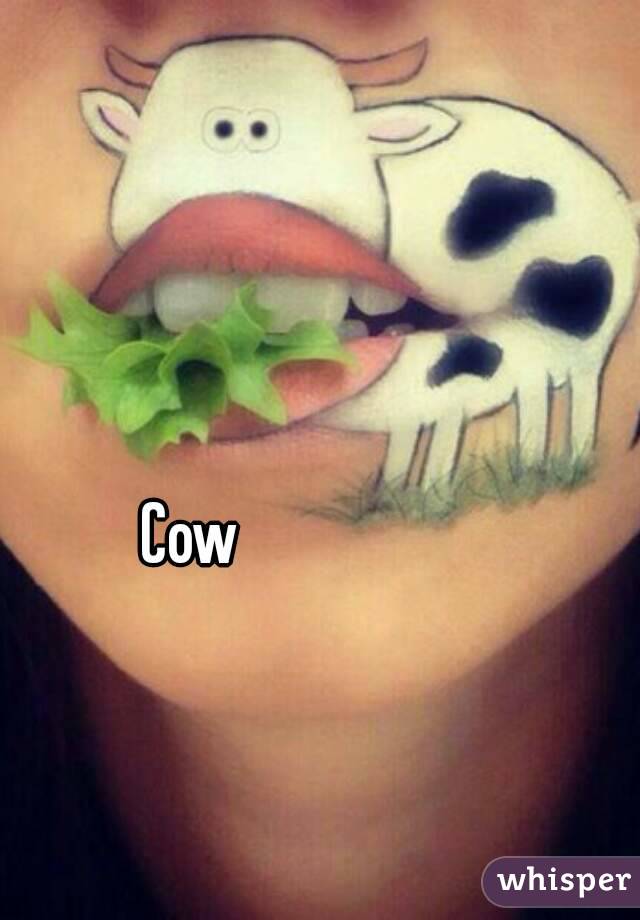 Cow