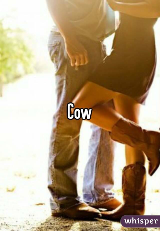 Cow