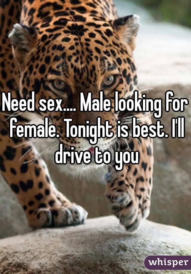 Need sex.... Male looking for female. Tonight is best. I'll drive to you