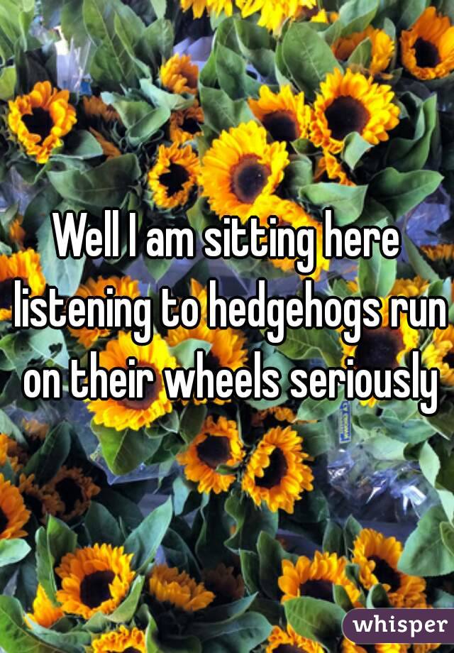 Well I am sitting here listening to hedgehogs run on their wheels seriously