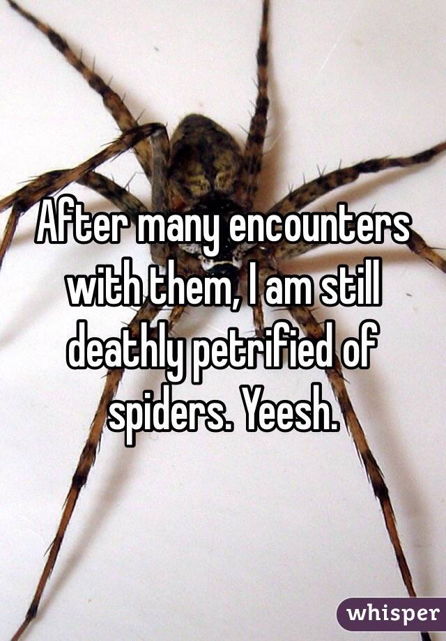 After many encounters with them, I am still deathly petrified of spiders. Yeesh. 