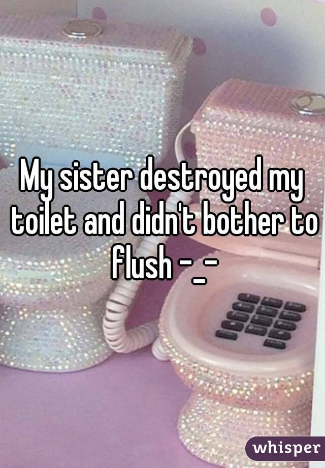 My sister destroyed my toilet and didn't bother to flush -_-