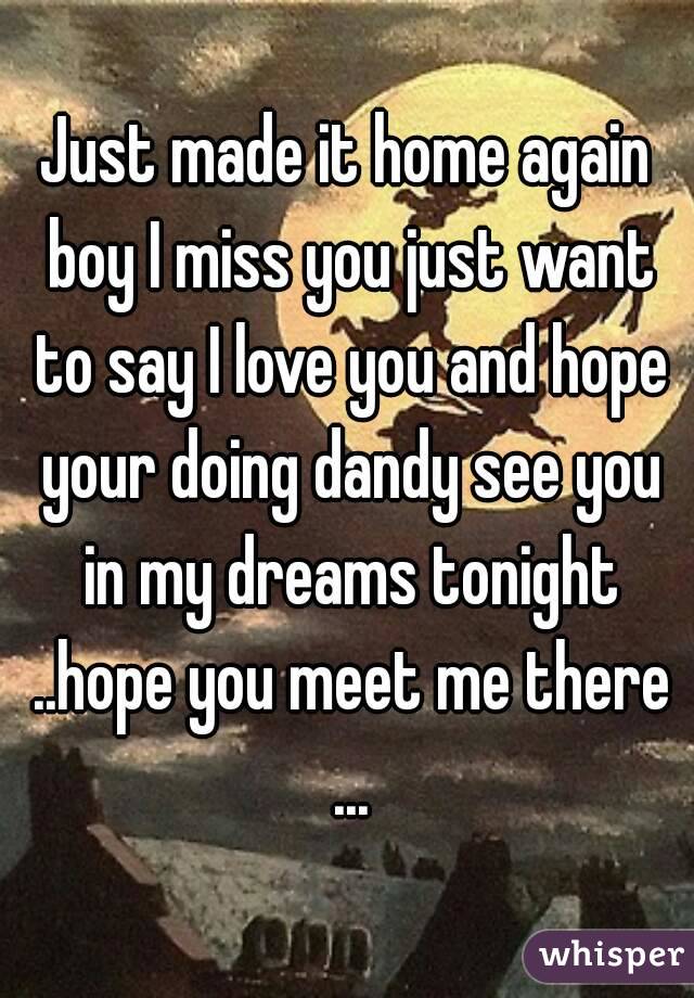 Just made it home again boy I miss you just want to say I love you and hope your doing dandy see you in my dreams tonight ..hope you meet me there ...