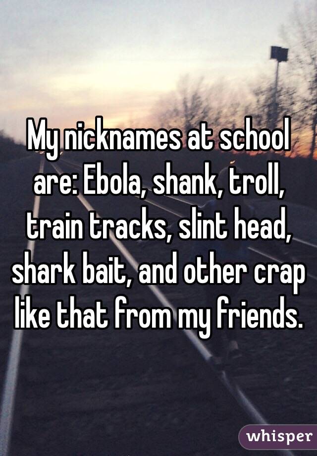 My nicknames at school are: Ebola, shank, troll, train tracks, slint head, shark bait, and other crap like that from my friends. 