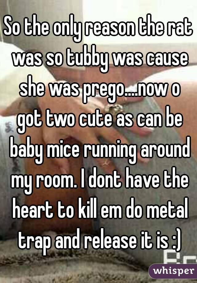 So the only reason the rat was so tubby was cause she was prego....now o got two cute as can be baby mice running around my room. I dont have the heart to kill em do metal trap and release it is :)