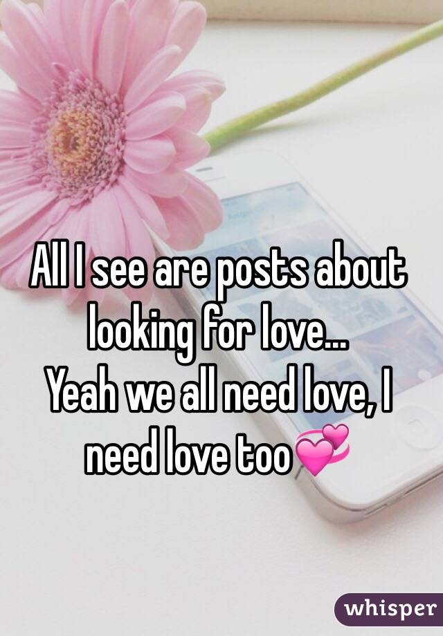 All I see are posts about looking for love...
Yeah we all need love, I need love too💞