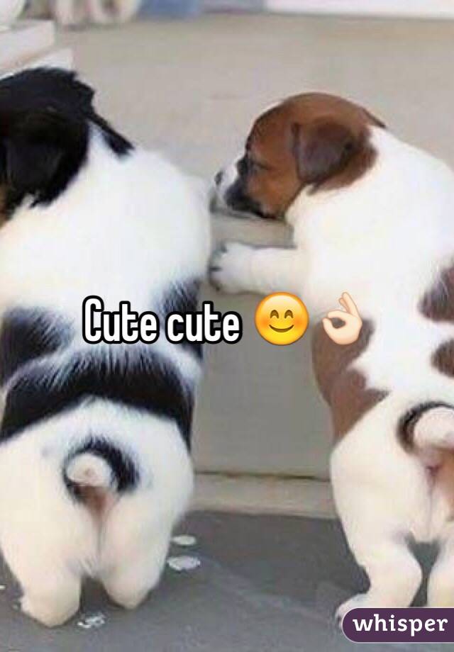 Cute cute 😊👌🏻