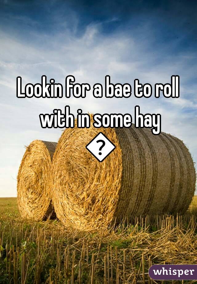 Lookin for a bae to roll with in some hay 😜