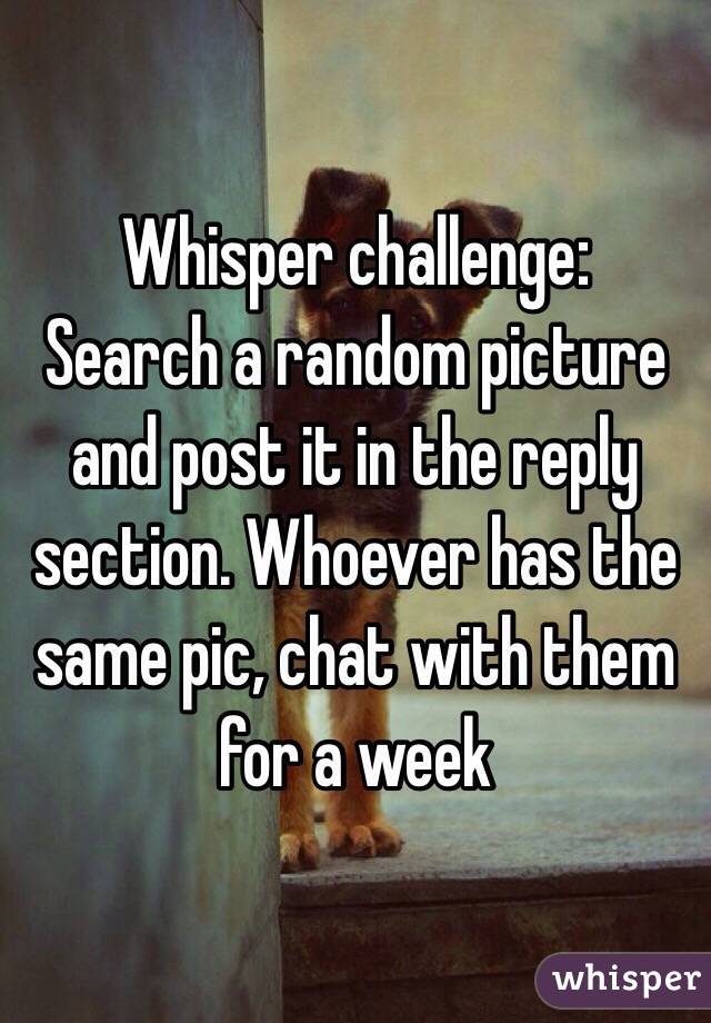 Whisper challenge:
Search a random picture and post it in the reply section. Whoever has the same pic, chat with them for a week