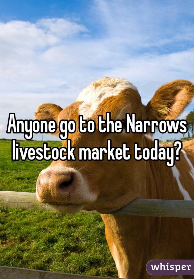 Anyone go to the Narrows livestock market today?