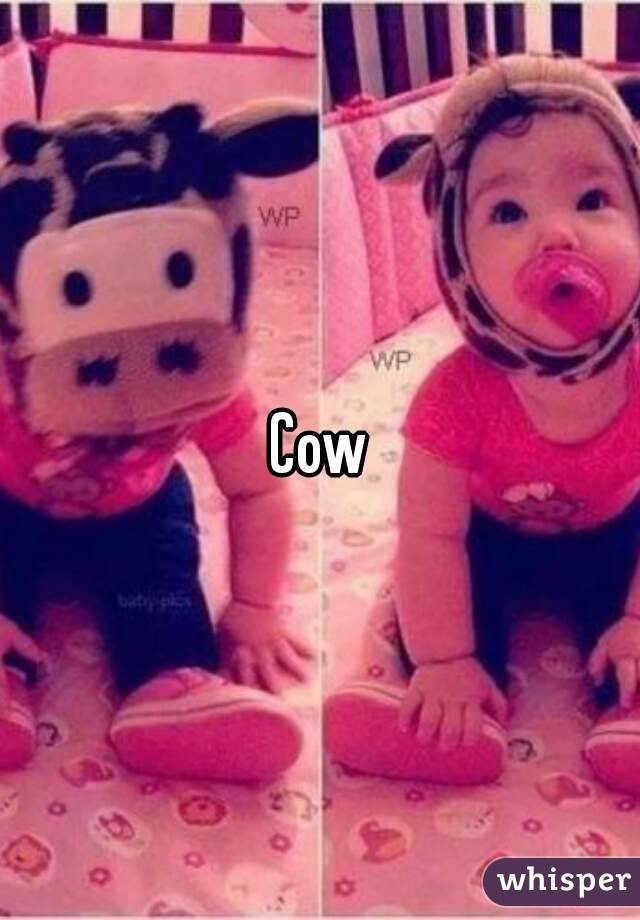 Cow