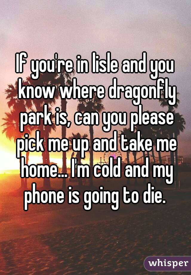 If you're in lisle and you know where dragonfly park is, can you please pick me up and take me home... I'm cold and my phone is going to die. 