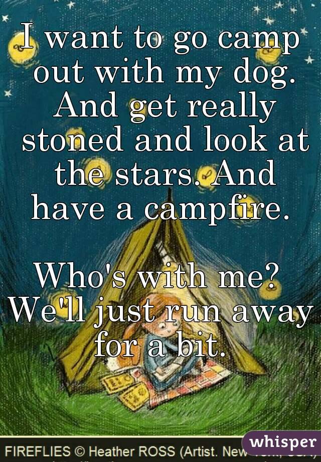 I want to go camp out with my dog. And get really stoned and look at the stars. And have a campfire. 

Who's with me? 
We'll just run away for a bit. 