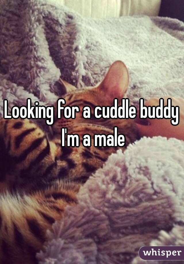 Looking for a cuddle buddy I'm a male