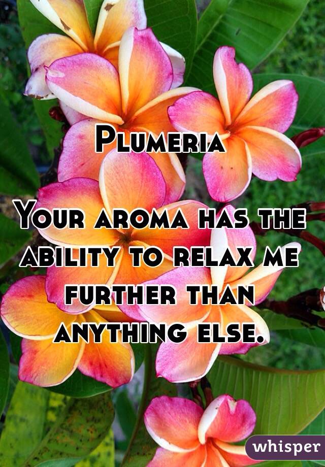 Plumeria

Your aroma has the ability to relax me further than anything else.