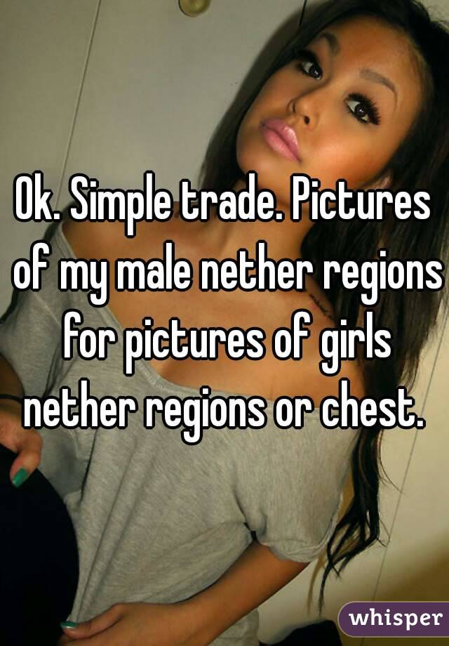 Ok. Simple trade. Pictures of my male nether regions for pictures of girls nether regions or chest. 