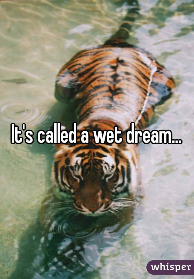 It's called a wet dream...