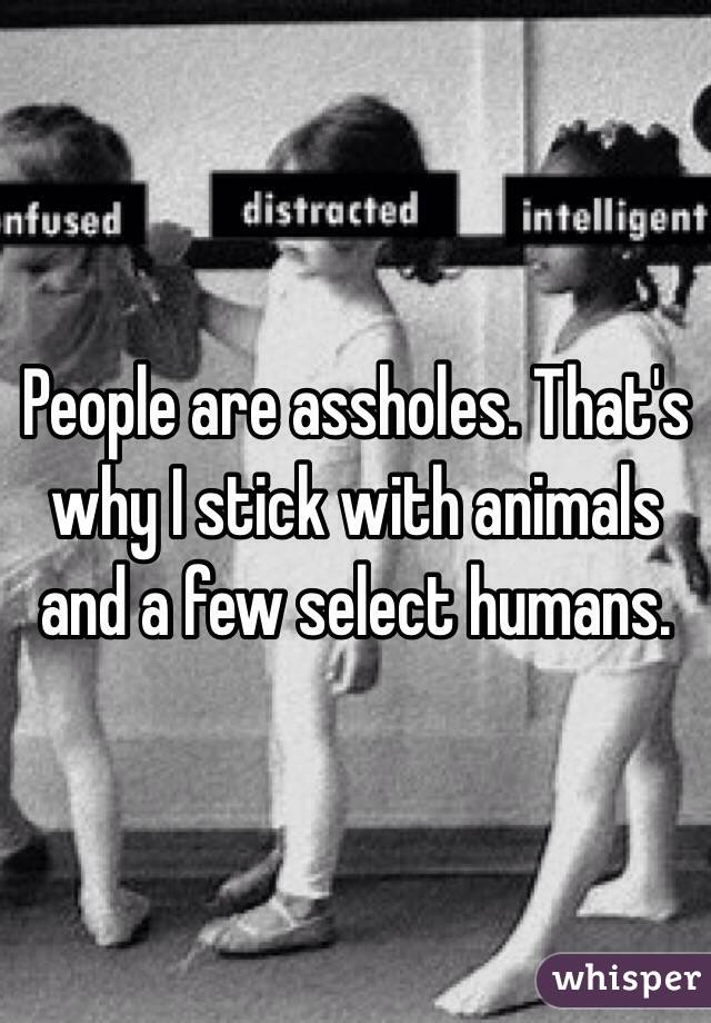 People are assholes. That's why I stick with animals and a few select humans. 