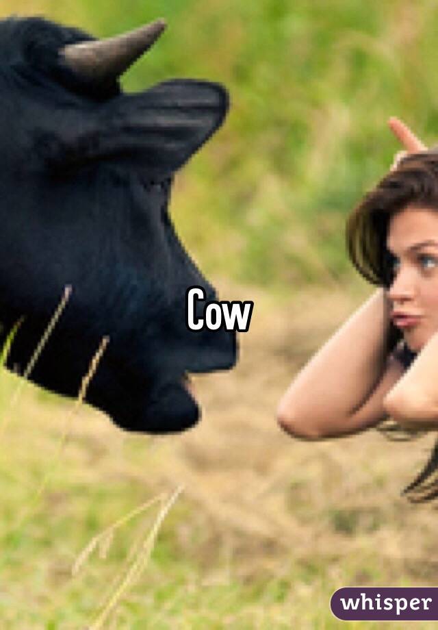 Cow