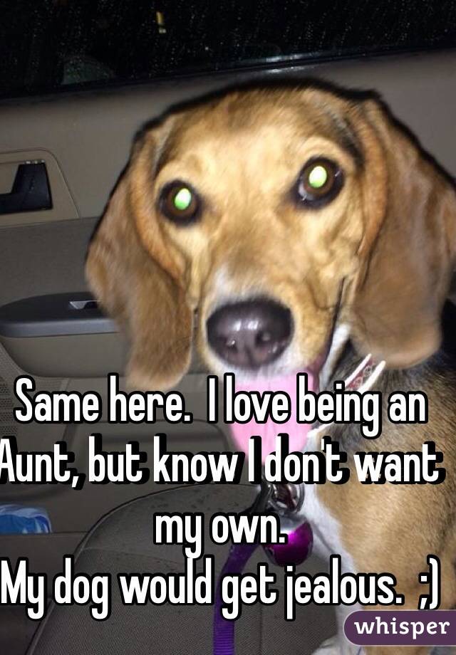 Same here.  I love being an Aunt, but know I don't want my own.  
My dog would get jealous.  ;)