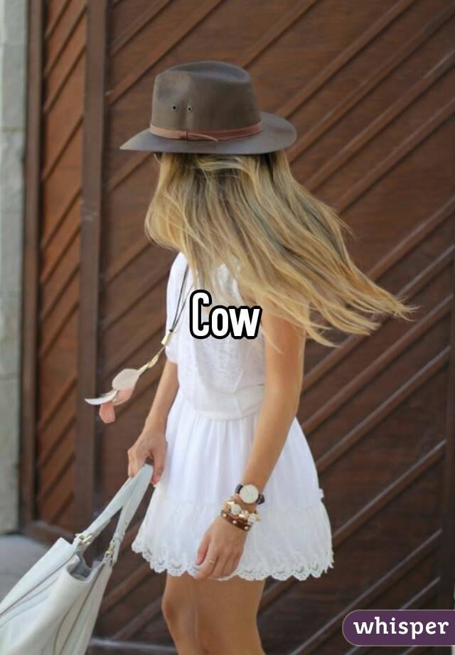 Cow
