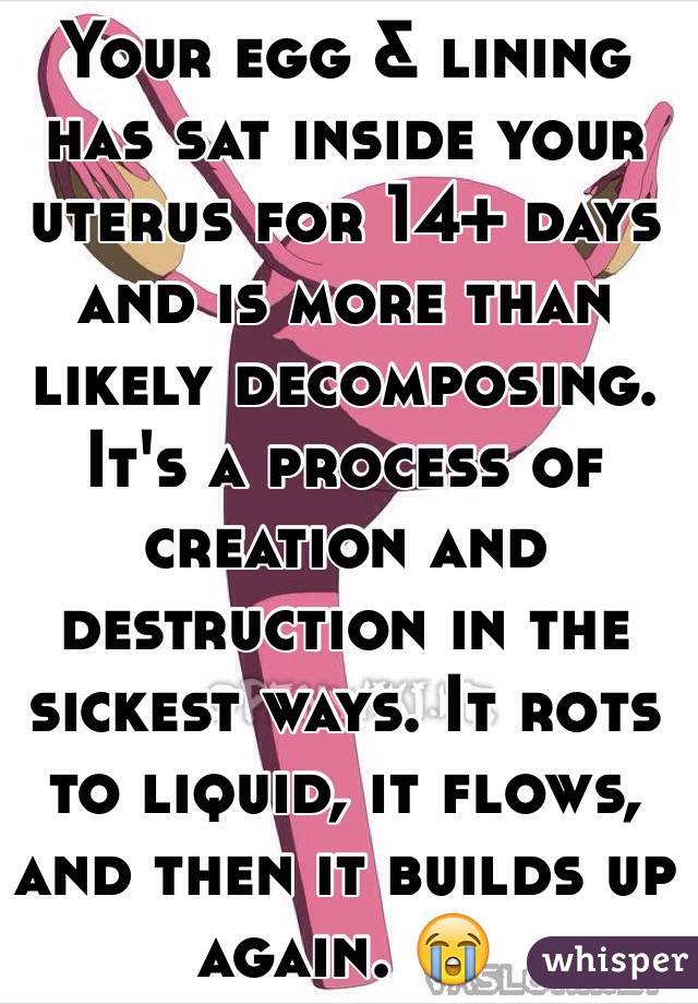 Your egg & lining has sat inside your uterus for 14+ days and is more than likely decomposing. It's a process of creation and destruction in the sickest ways. It rots to liquid, it flows, and then it builds up again. 😭