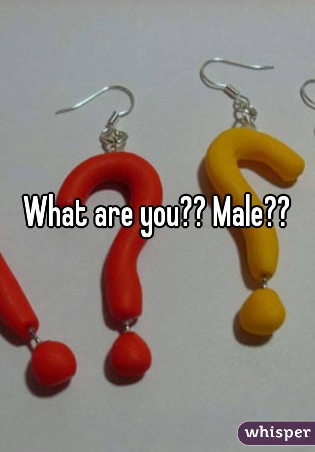 What are you?? Male??