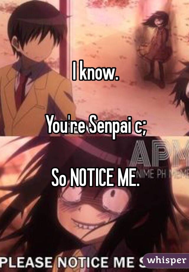 I know.

You're Senpai c;

So NOTICE ME. 