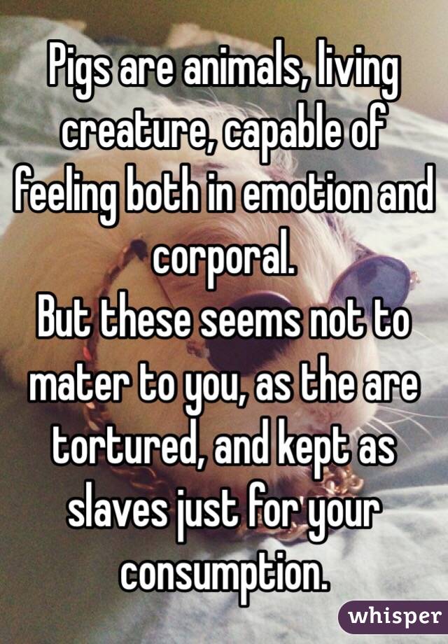 Pigs are animals, living creature, capable of feeling both in emotion and corporal. 
But these seems not to mater to you, as the are tortured, and kept as slaves just for your consumption. 