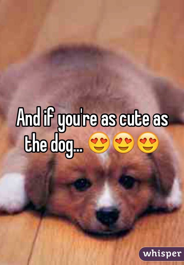 And if you're as cute as the dog... 😍😍😍