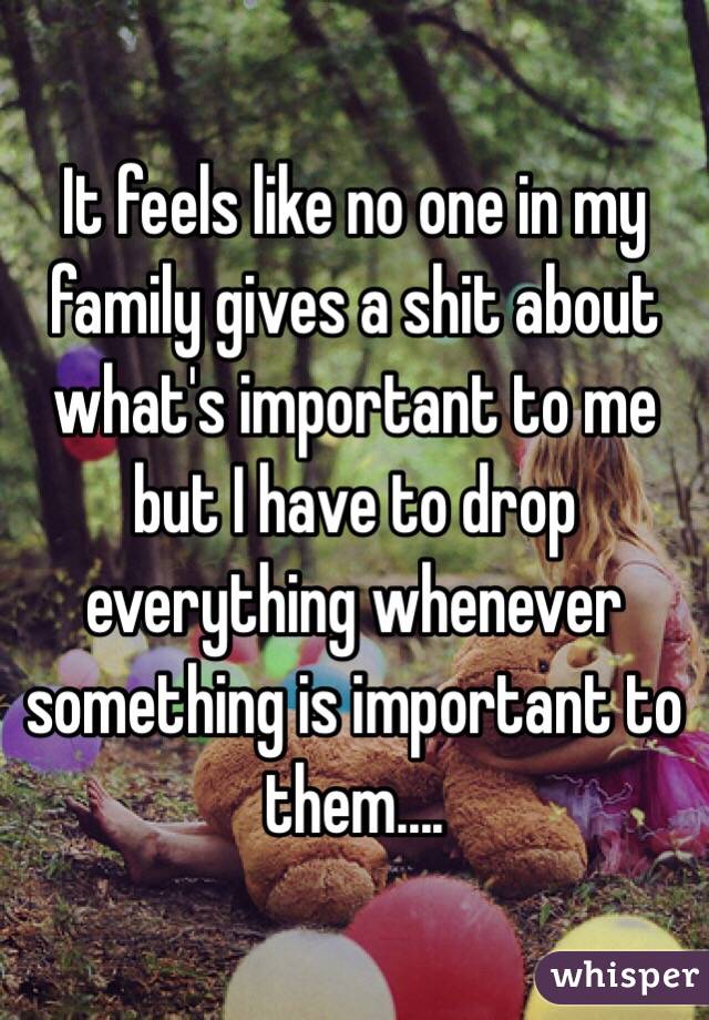 It feels like no one in my family gives a shit about what's important to me but I have to drop everything whenever something is important to them....
