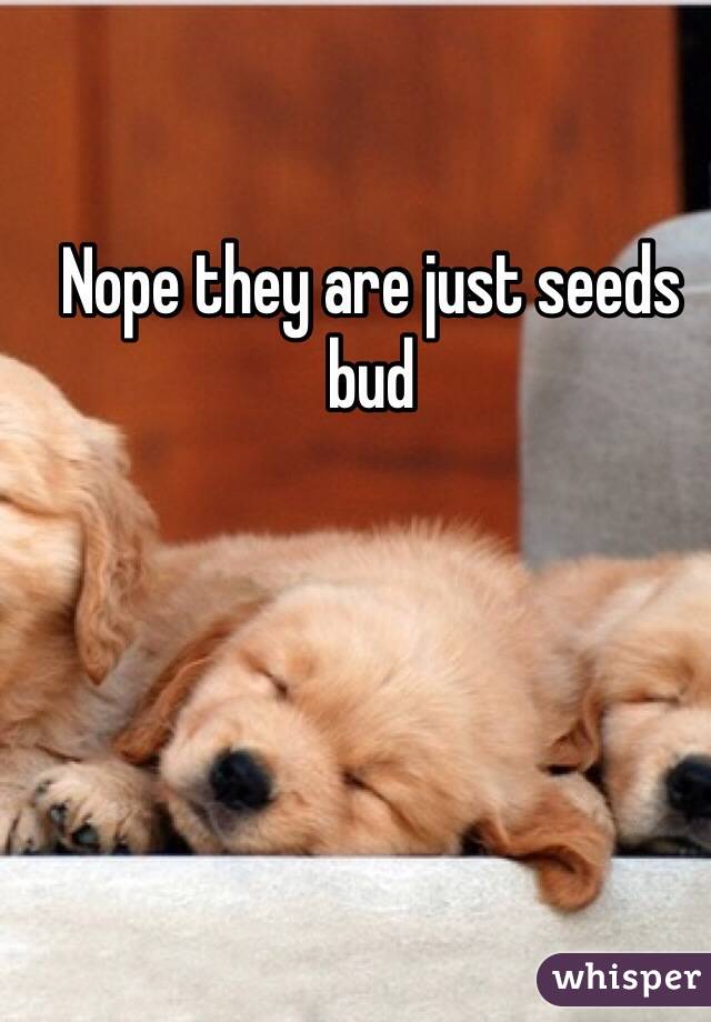 Nope they are just seeds bud