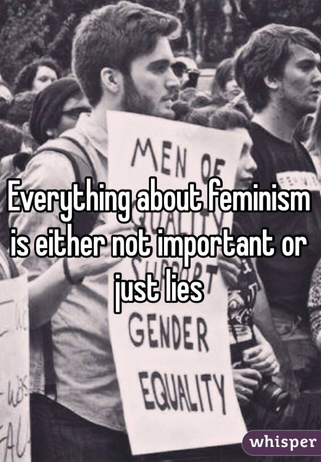 Everything about feminism is either not important or just lies  