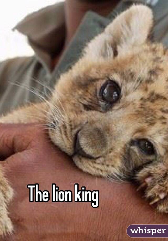 The lion king 