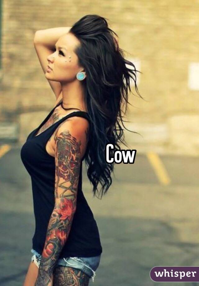 Cow
