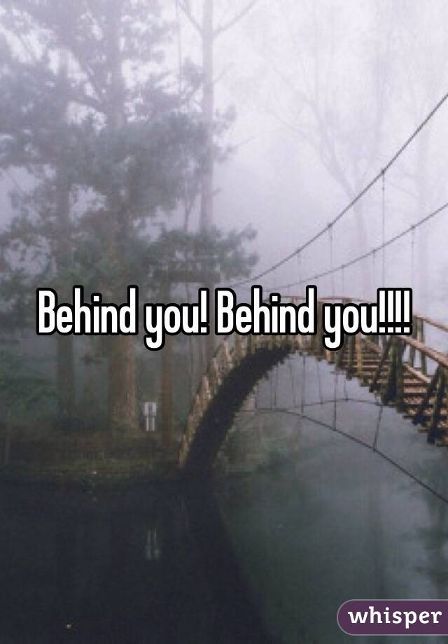 Behind you! Behind you!!!!